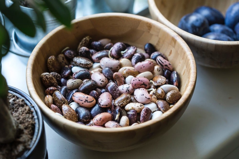 authentic Mexican food