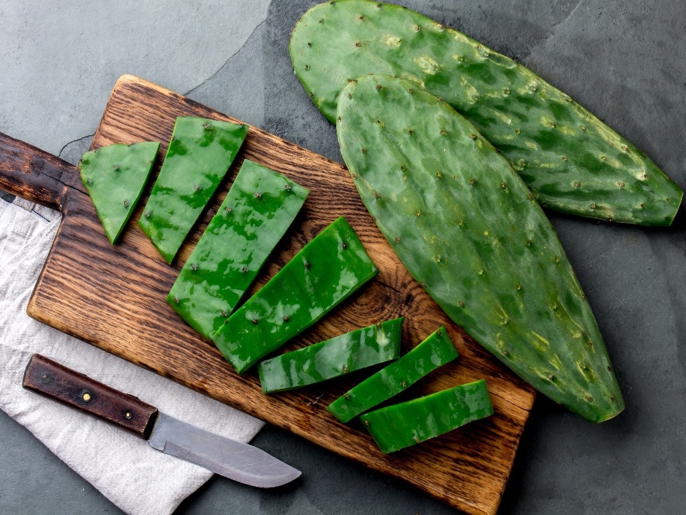 Cactus Nopales