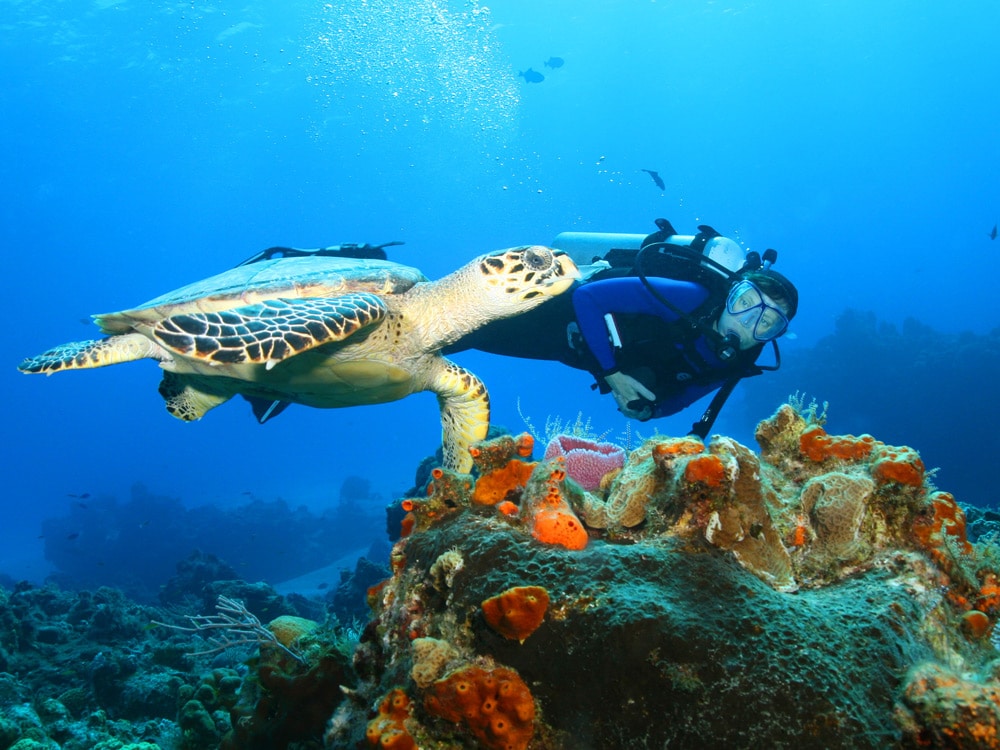 Riviera Maya Mexico Guide