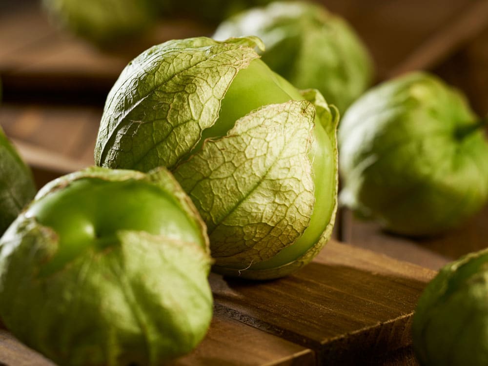 What Is A Tomatillo