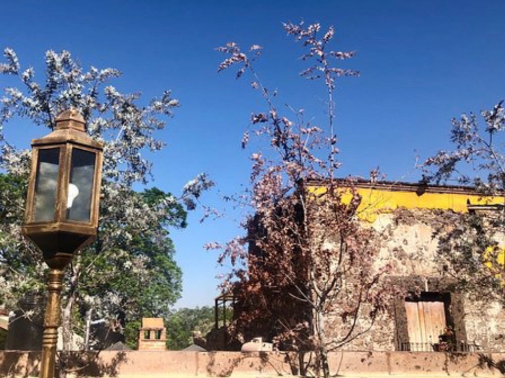 Casa 88 hotel