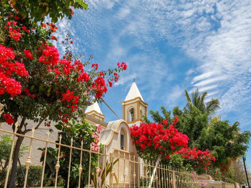 San Jose Del Cabo
